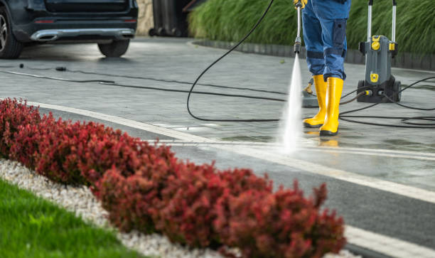 Best Playground Equipment Cleaning  in La Palma, CA
